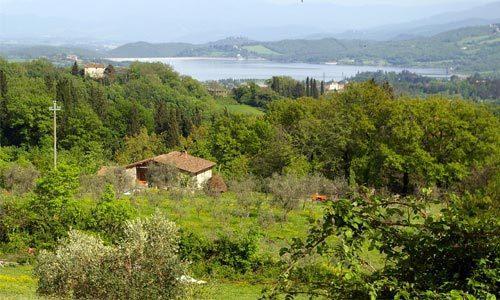 הוילה ברברינו די מוג'לו Agriturismo Massoserpente מראה חיצוני תמונה
